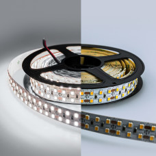 LUX 24V Светодиодная лента 2835 240 LED (19.2W/M) IP20 ДВУХРЯДНАЯ